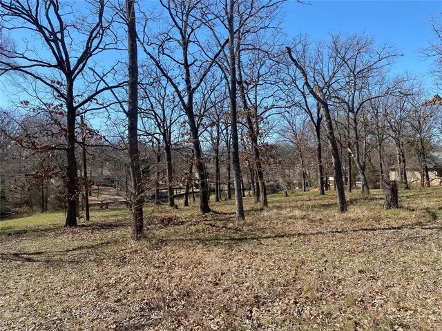 a view of empty space with green space