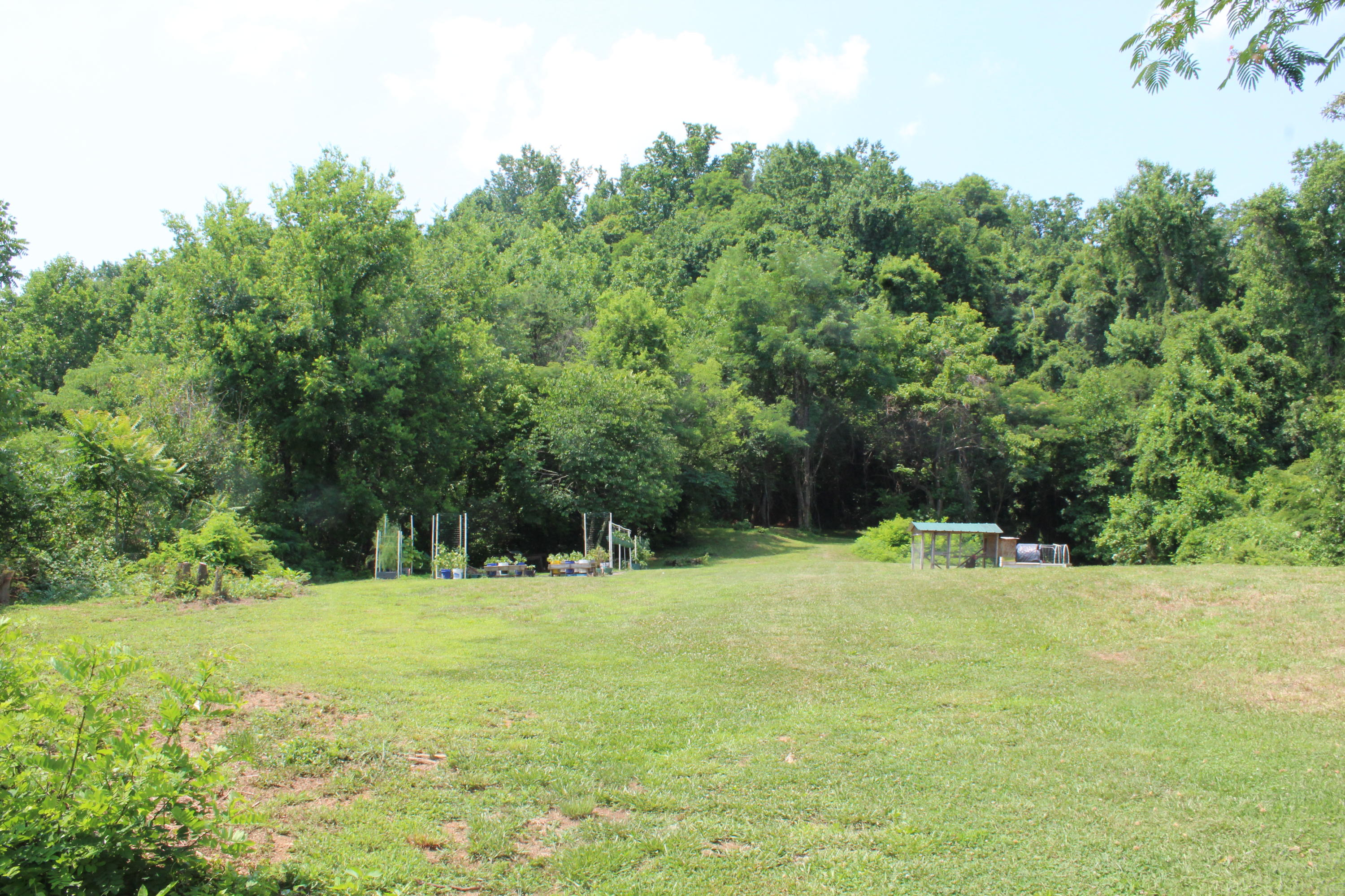 8421 Finger Road Knoxville, TN 37920 - Photo 1 of 13 IMG_0908