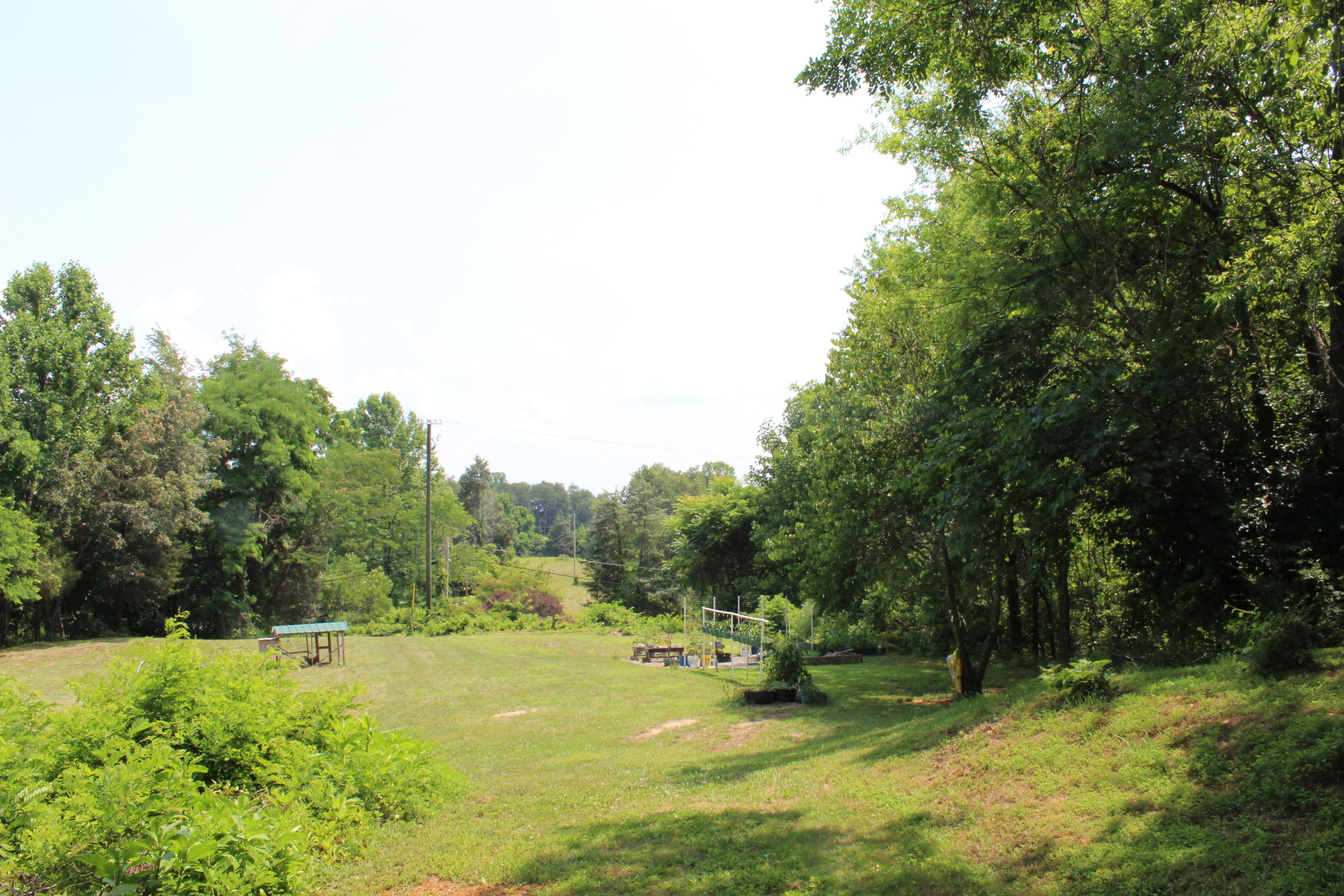 8421 Finger Road Knoxville, TN 37920 - Photo 2 of 13 IMG_0911