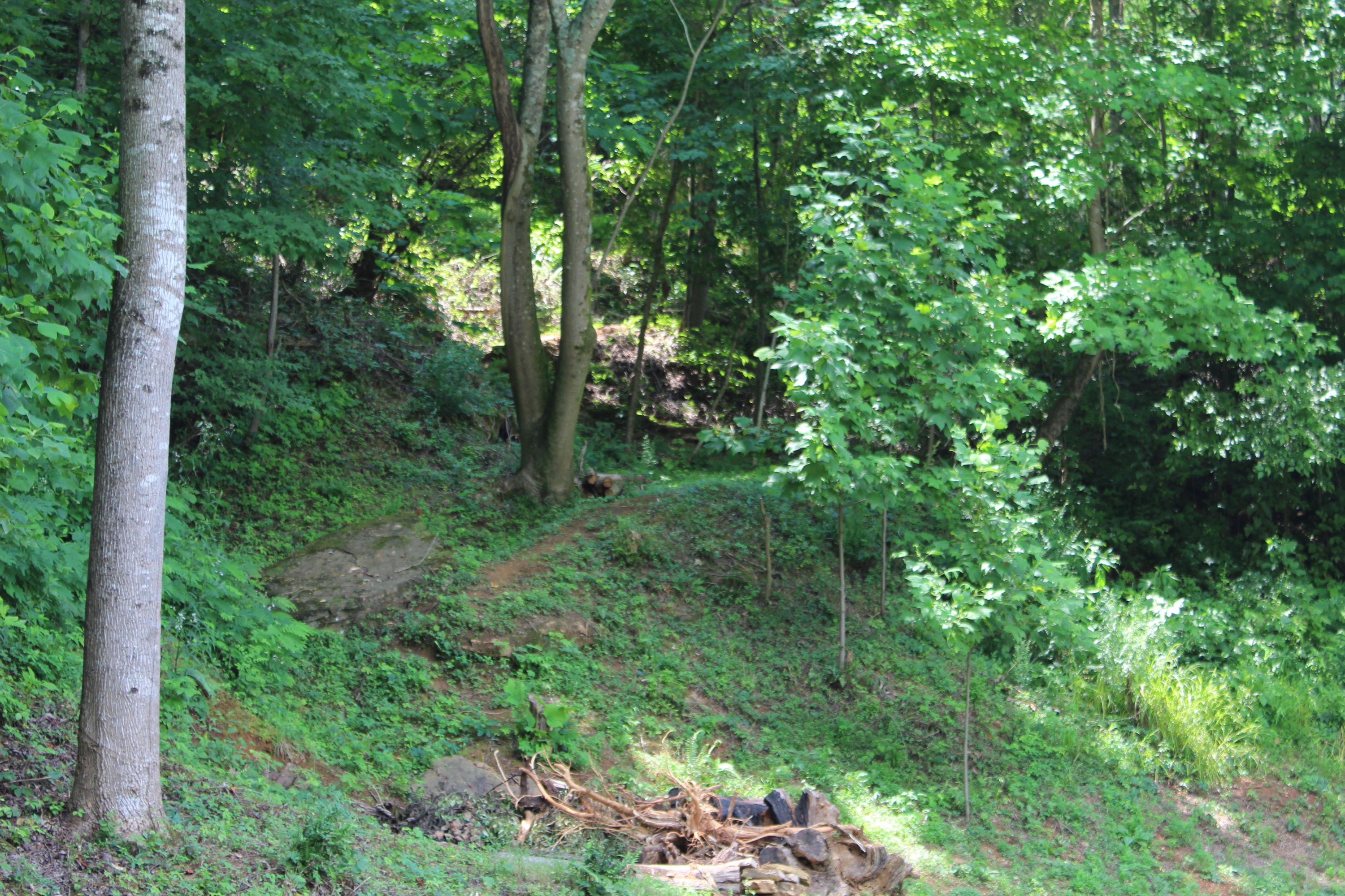 8421 Finger Road Knoxville, TN 37920 - Photo 12 of 13 IMG_0891