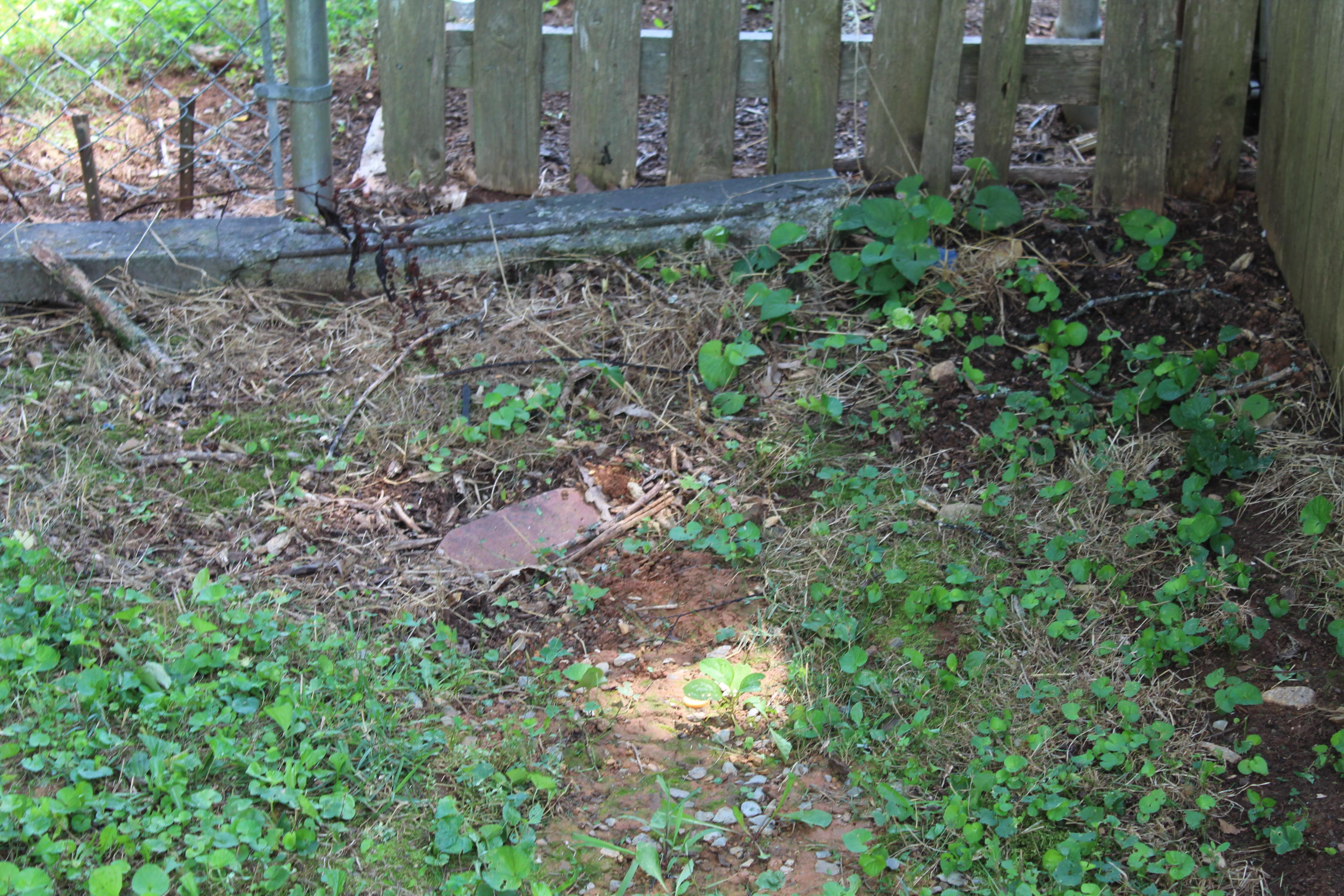 8421 Finger Road Knoxville, TN 37920 - Photo 13 of 13 IMG_0892