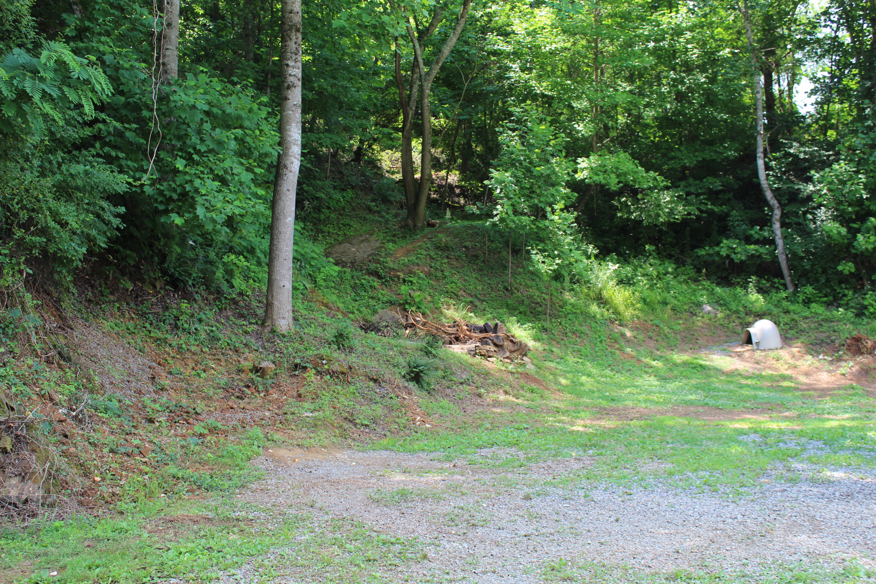 8421 Finger Road Knoxville, TN 37920 - Photo 4 of 13 IMG_0890