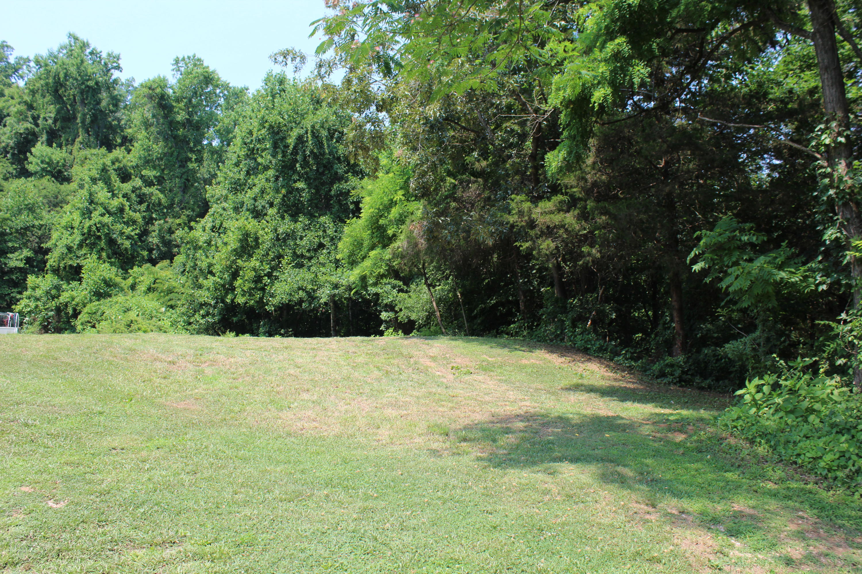 8421 Finger Road Knoxville, TN 37920 - Photo 7 of 13 IMG_0909