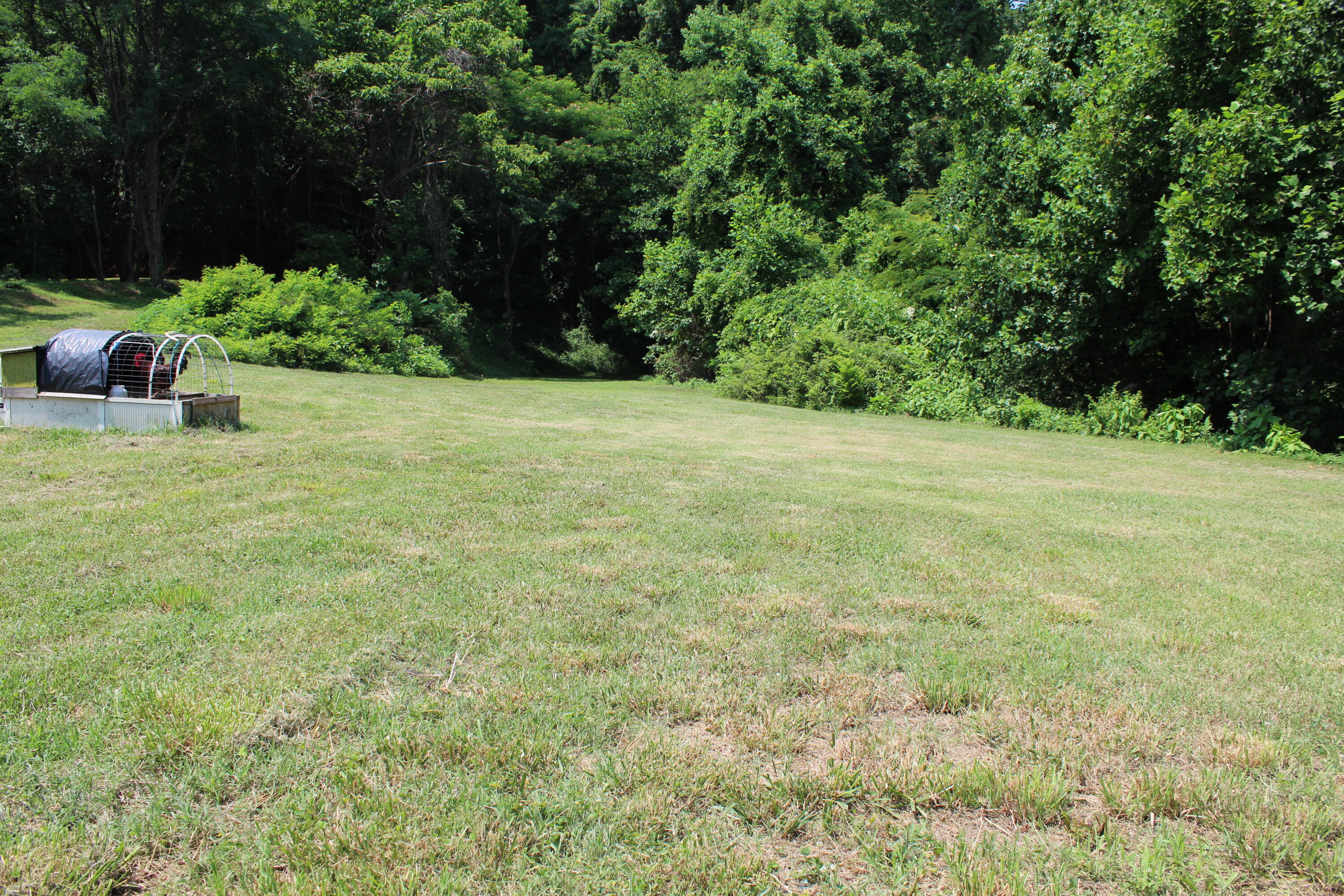 8421 Finger Road Knoxville, TN 37920 - Photo 8 of 13 IMG_0910