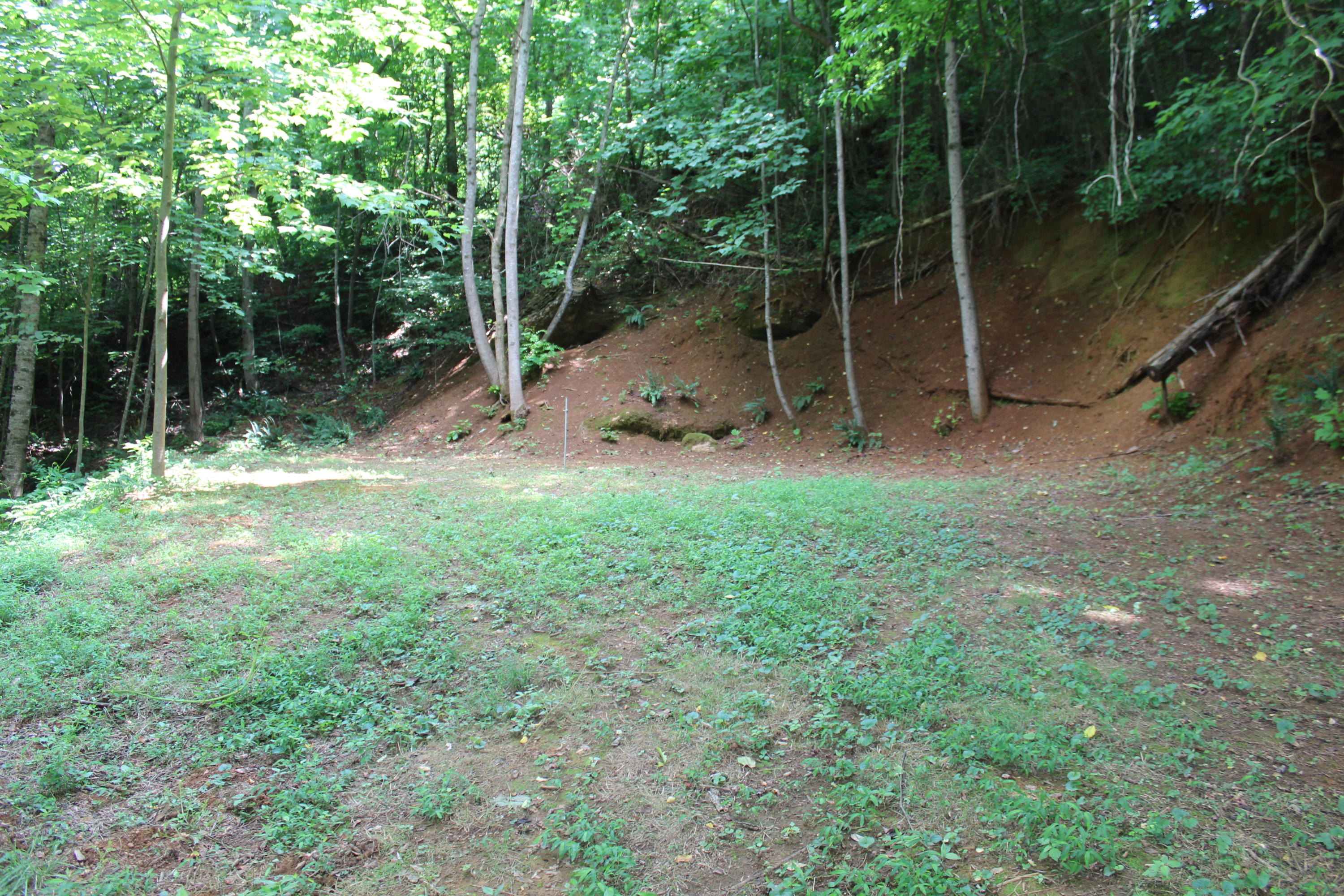 8421 Finger Road Knoxville, TN 37920 - Photo 9 of 13 IMG_0902