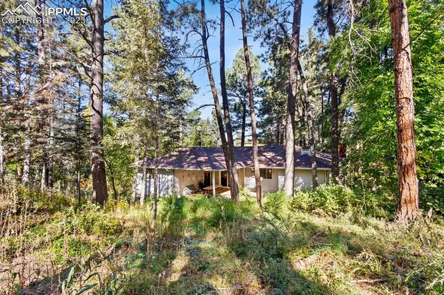 a backyard of a building with trees