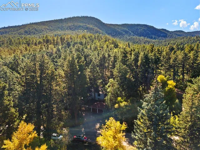 a view of a lush green field with mountains in the background