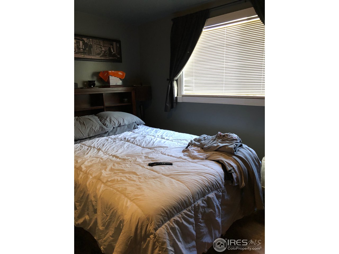 405 Briarwood Road Fort Collins, CO 80521 - Photo 12 of 17 Lower Level Bedroom or Den