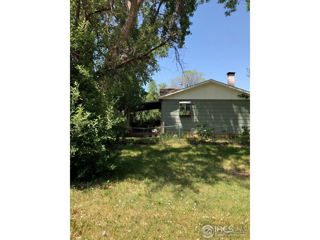 405 Briarwood Road Fort Collins, CO 80521 - Photo 14 of 17 Large Side Yard on Corner Lot