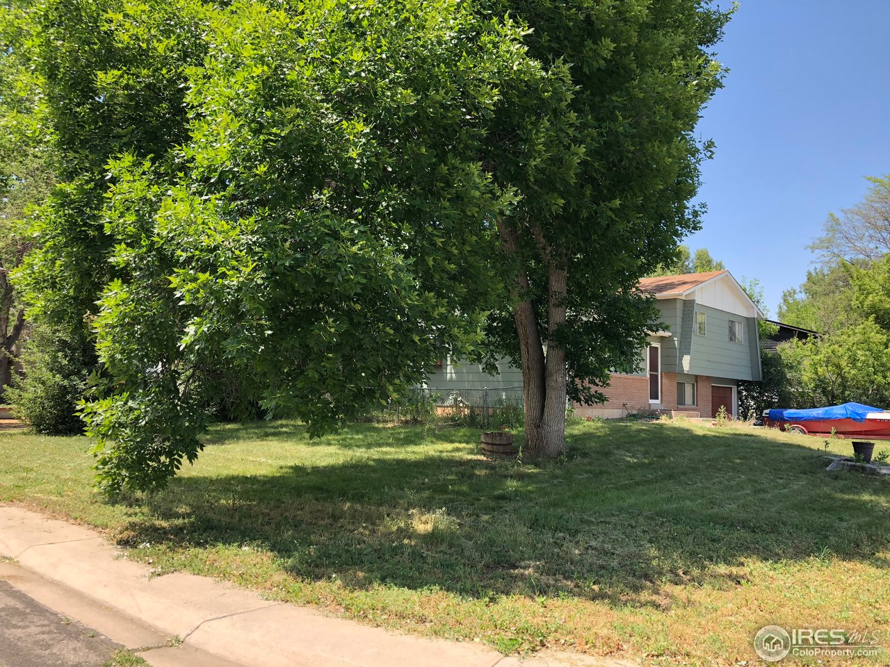 405 Briarwood Road Fort Collins, CO 80521 - Photo 16 of 17 Large Trees on Corner Lot