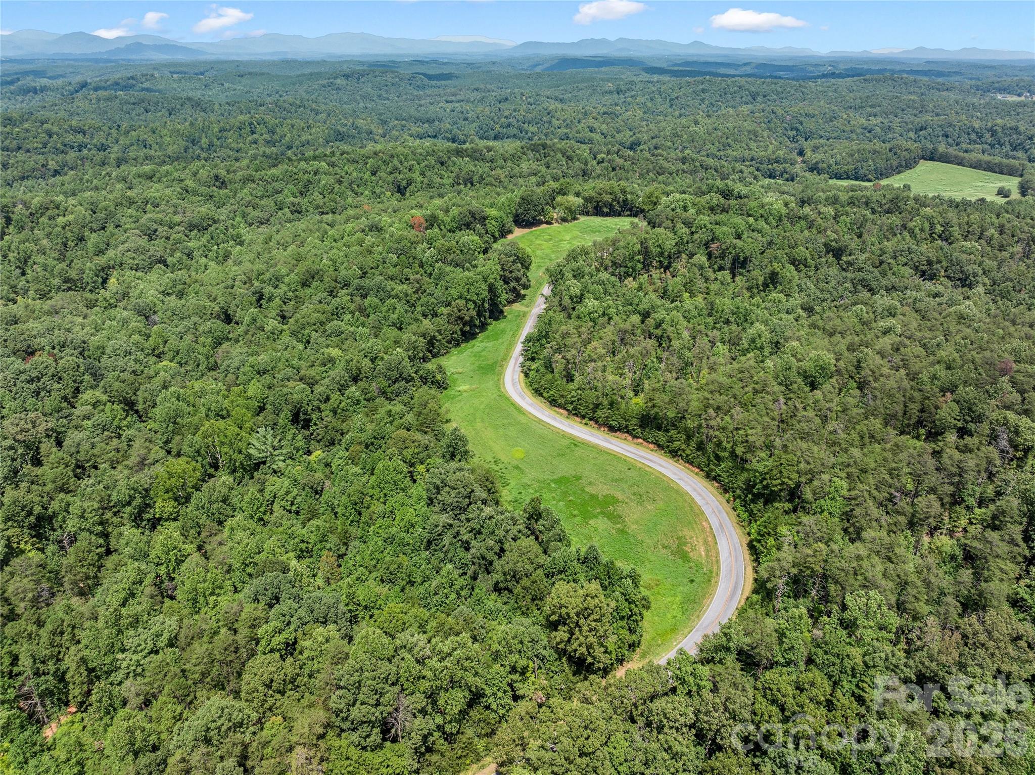292 Fowler Road Mill Spring, NC 28756 - Photo 25 of 29 Gallery Image 25