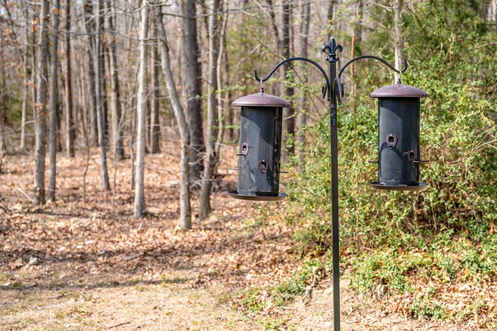 197 Back Road Shenandoah, VA 22849 - Photo 47 of 50 Gallery Image 47
