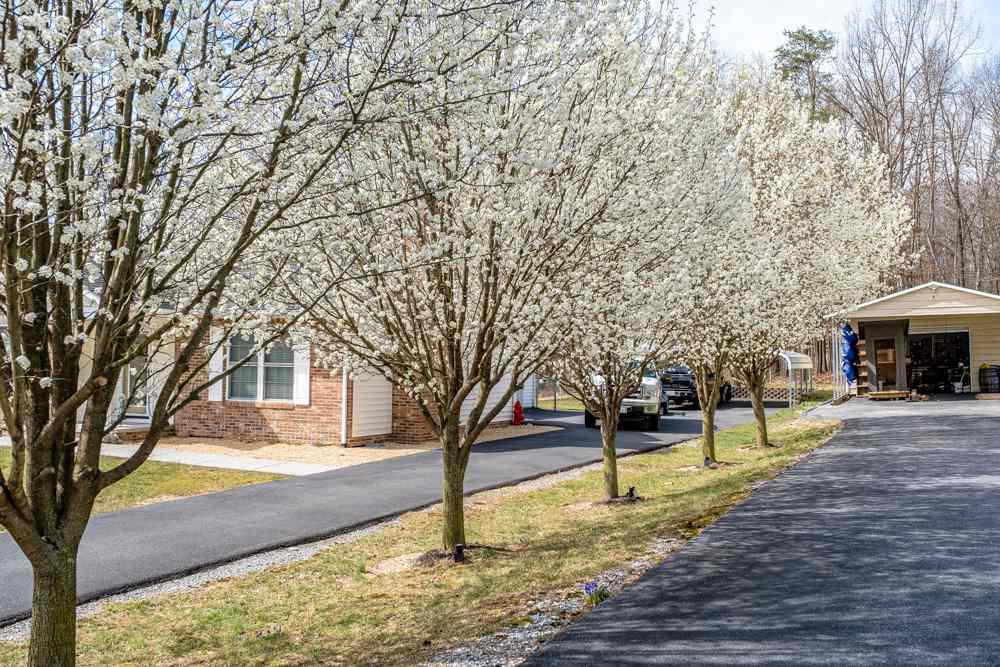 197 Back Road Shenandoah, VA 22849 - Photo 49 of 50 Gallery Image 49