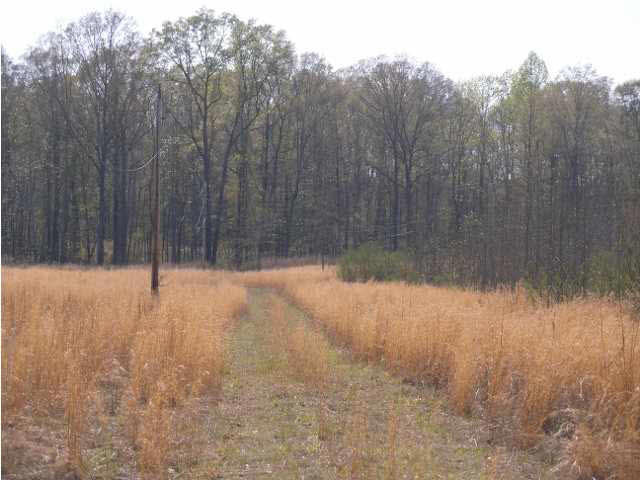 0 Ruby Road Crystal Springs, MS 39059 - Photo 1 of 3 Photo 1