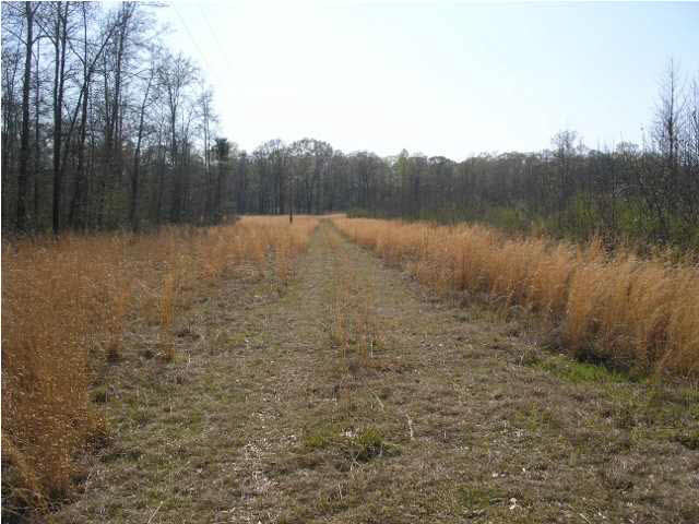 0 Ruby Road Crystal Springs, MS 39059 - Photo 2 of 3 Photo 2