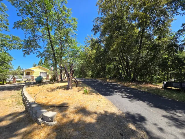 an aerial view of green landscape with trees houses and mountain view