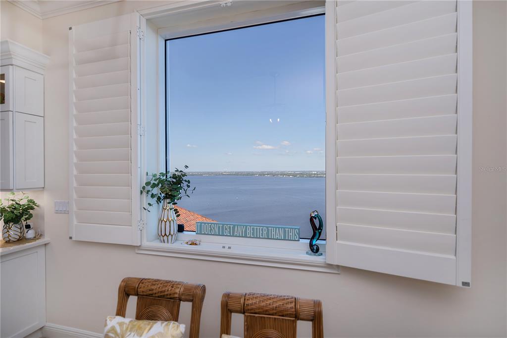 2104 West First Street, Unit 3103 Fort Myers, FL 33901 - Photo 19 of 74 a potted plant sitting on a wall next to a window