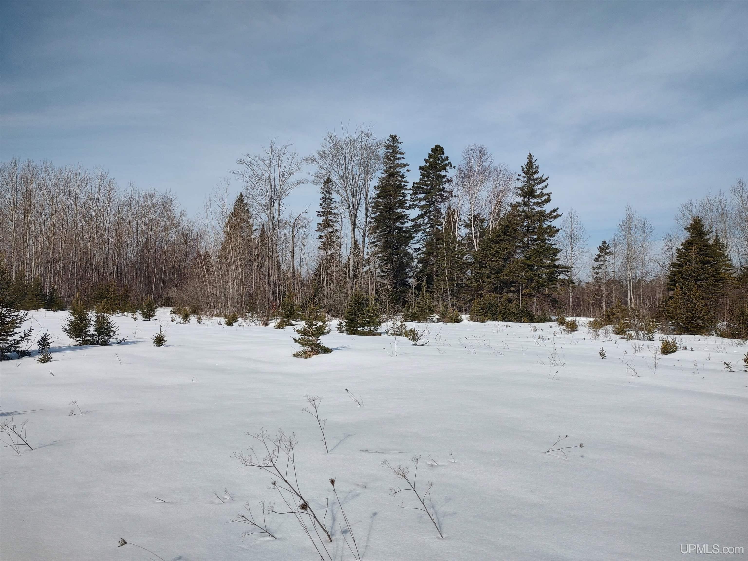 30-acres Parkington Road Gulliver, MI 49840 - Photo 22 of 31