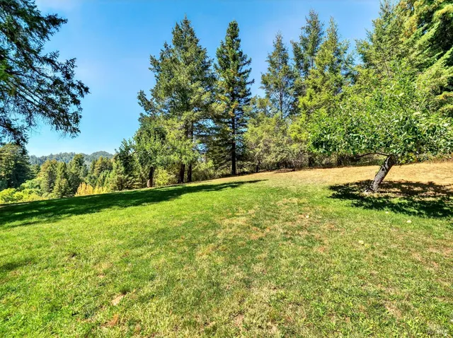 a view of outdoor space and yard