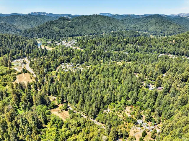 a view of a lush green forest with a lush green hillside