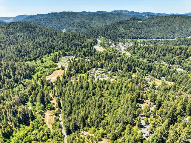 a view of a lush green forest with a mountain in the background