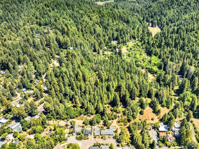 a view of a yard with large trees