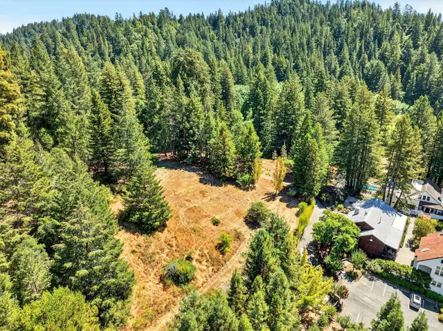 a view of a yard with a tree