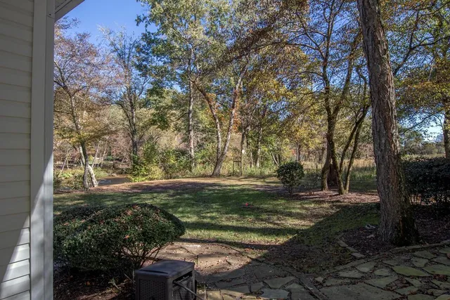 a view of backyard with green space