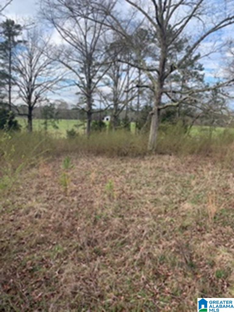 0 Truss Ferry Road, Unit 1 Lincoln, AL 35096 - Photo 8 of 11