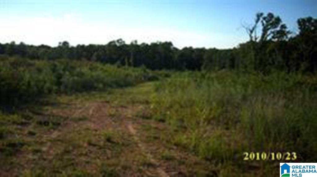 Eureka Road, Unit 1 Lincoln, AL 35096 - Photo 24 of 34