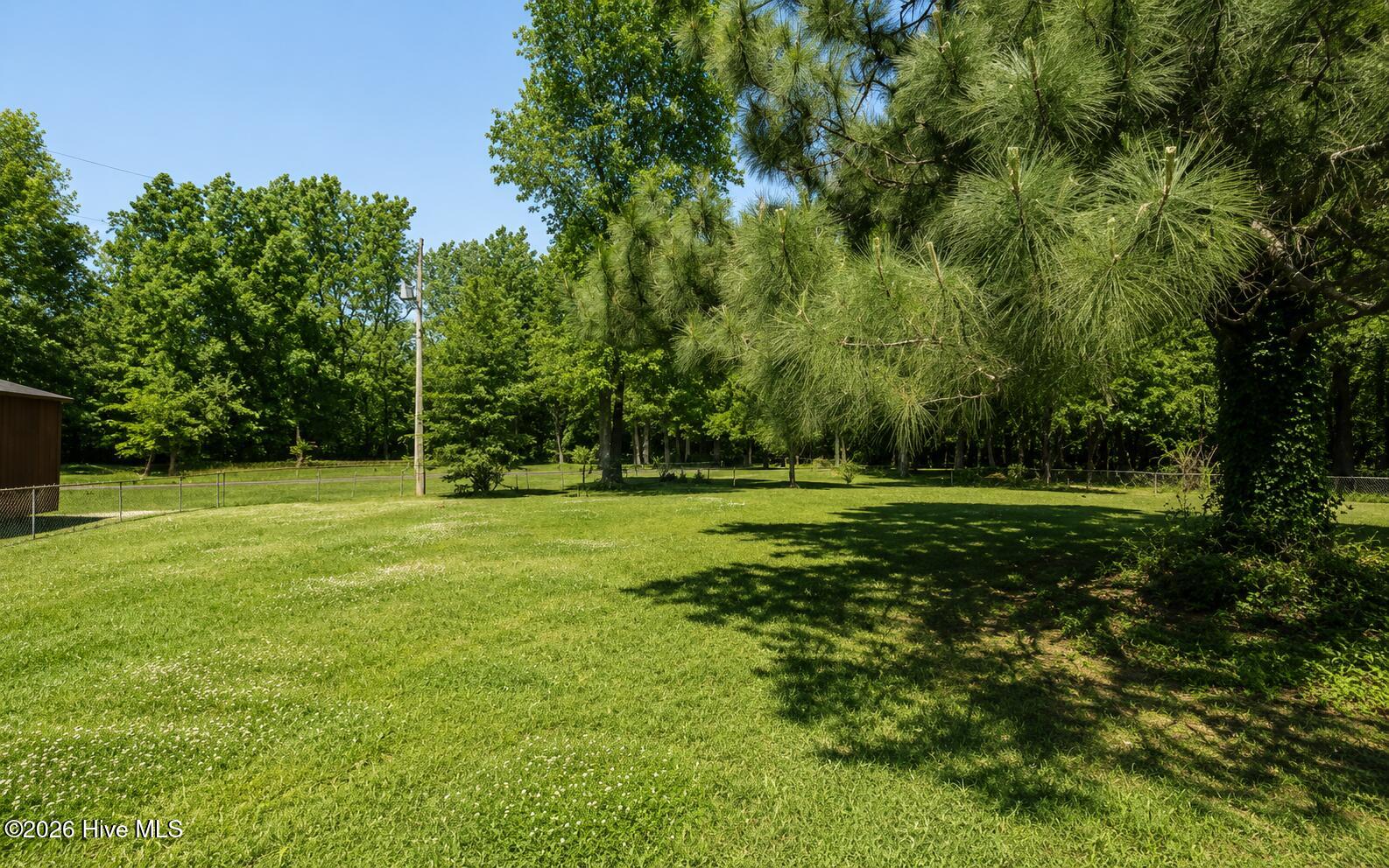 621 New Hope Church Road Battleboro, NC 27809 - Photo 10 of 11 Backyard Area