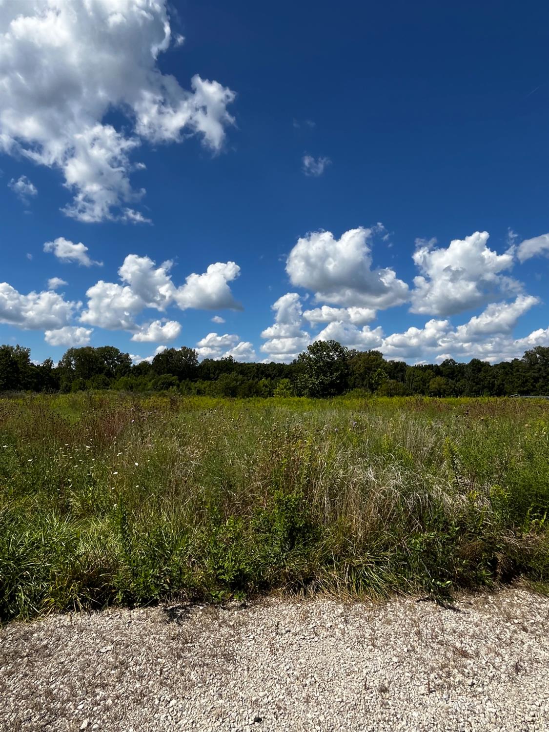 0 Stateline Road Liberty, IN 47353 - Photo 11 of 13