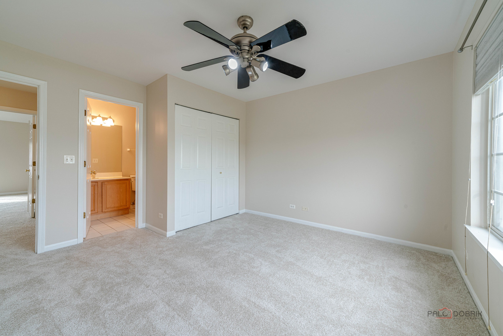 1719 Sienna Court Wheeling, IL 60090 - Photo 25 of 34 an empty room with chandelier fan and windows