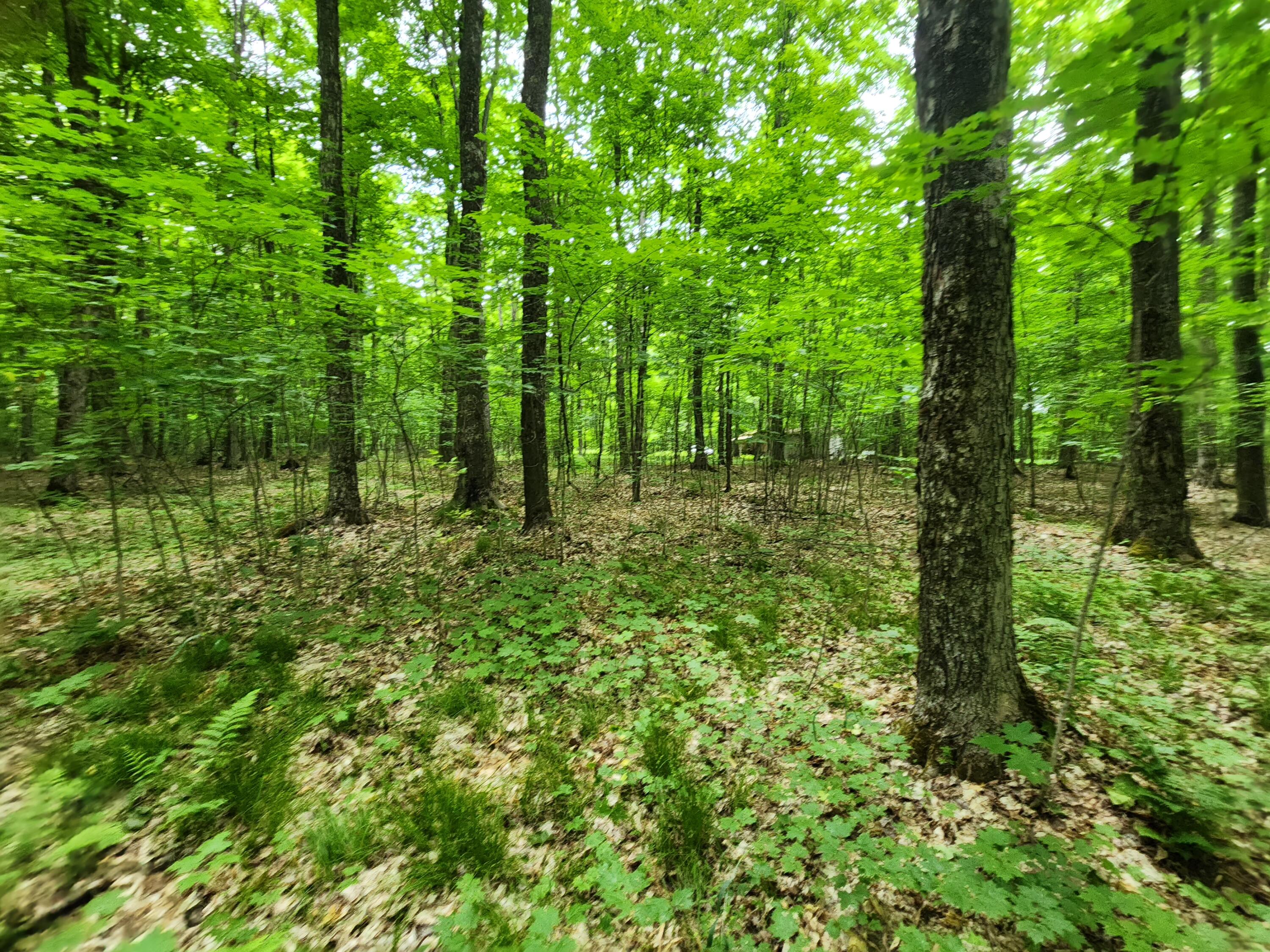 4760 North Banking Ground Road Germfask, MI 49836 - Photo 33 of 39 Gallery Image 33