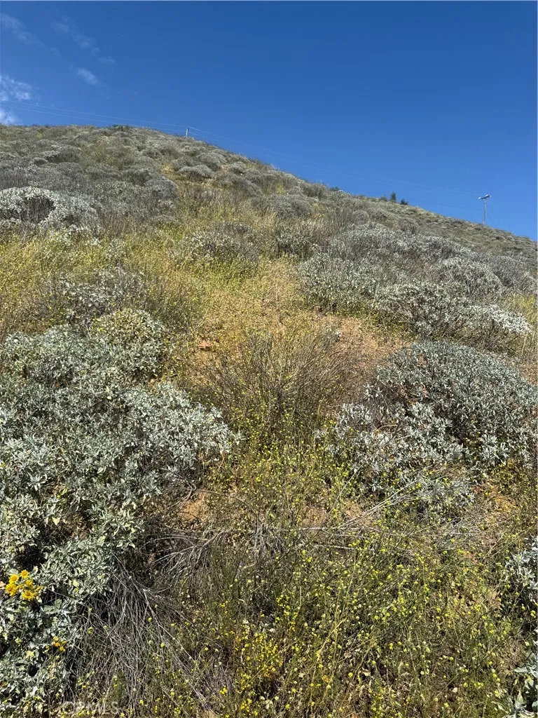 0 Mill Lake Anza, CA 92539 - Photo 6 of 8 a view of a field