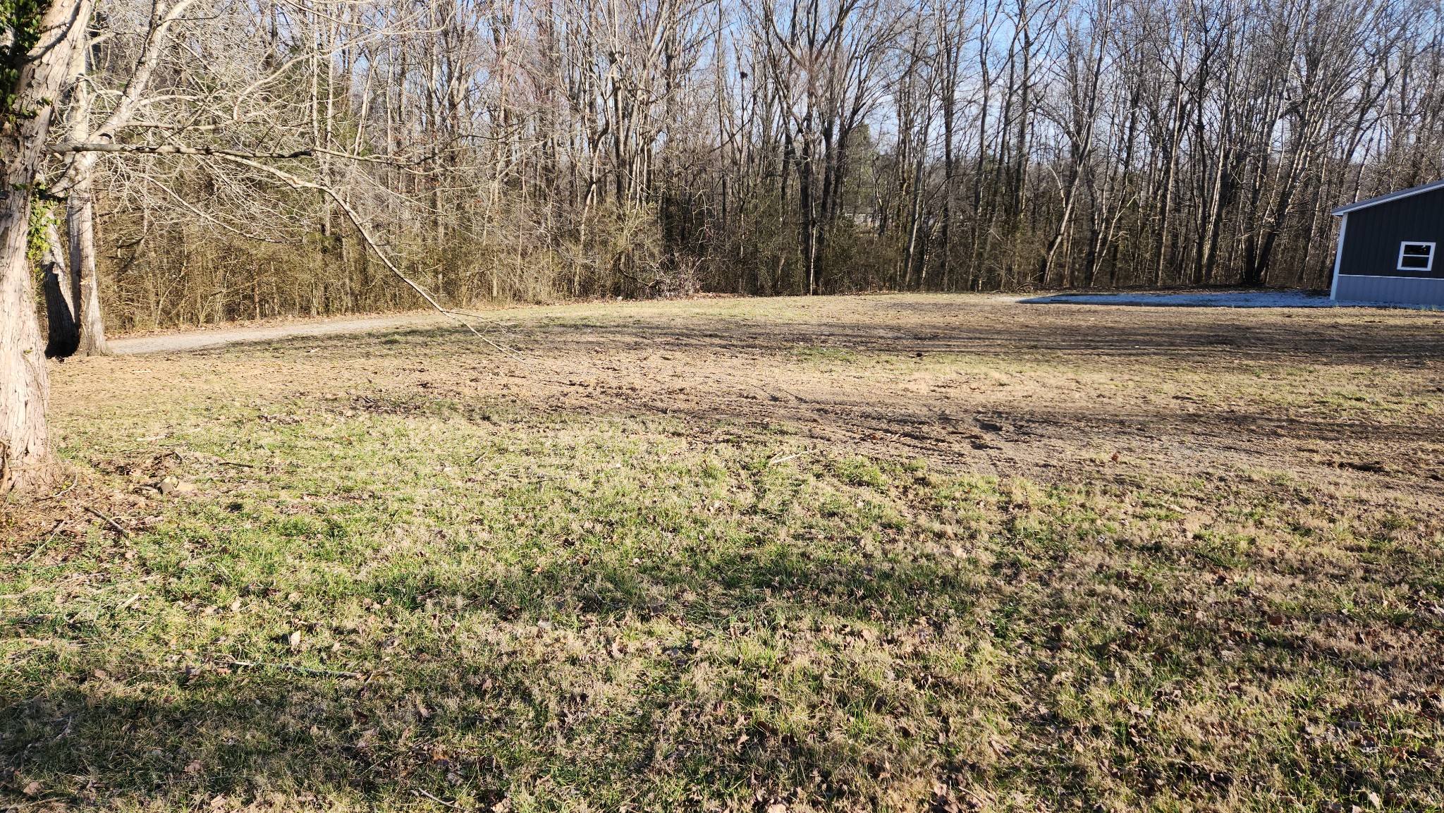 1902 Cap Road Bon Aqua, TN 37025 - Photo 3 of 10 a view of yard with trees