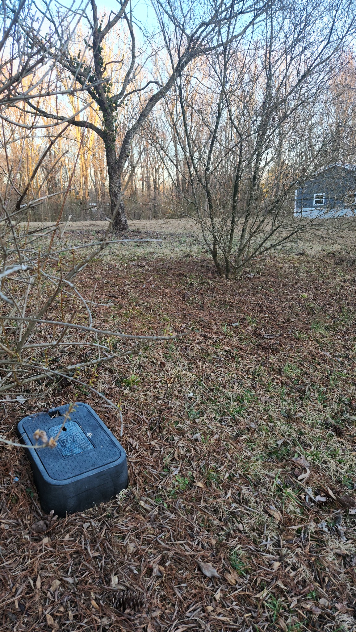 1902 Cap Road Bon Aqua, TN 37025 - Photo 9 of 10 a view of a backyard with large trees