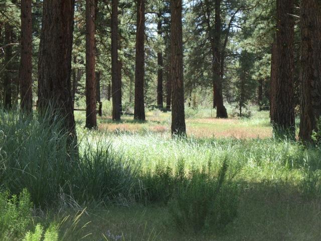450 Oregon Pines Road Sprague River, OR 97639 - Photo 20 of 32 Additional Photo
