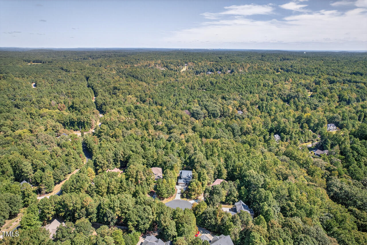 67 Ada Court Pittsboro, NC 27312 - Photo 63 of 63 a view of a green field