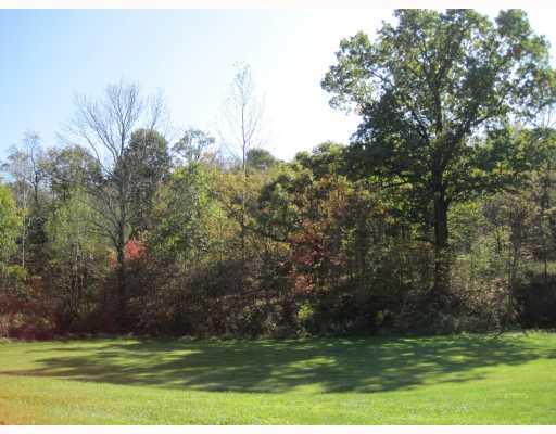225 Pfeffer Road Export, PA 15632 - Photo 5 of 18 Land/Lot.