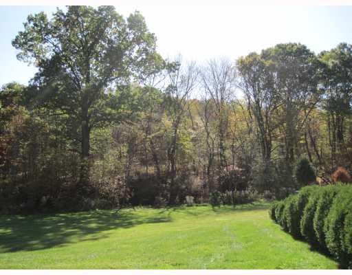 225 Pfeffer Road Export, PA 15632 - Photo 6 of 18 Land/Lot.