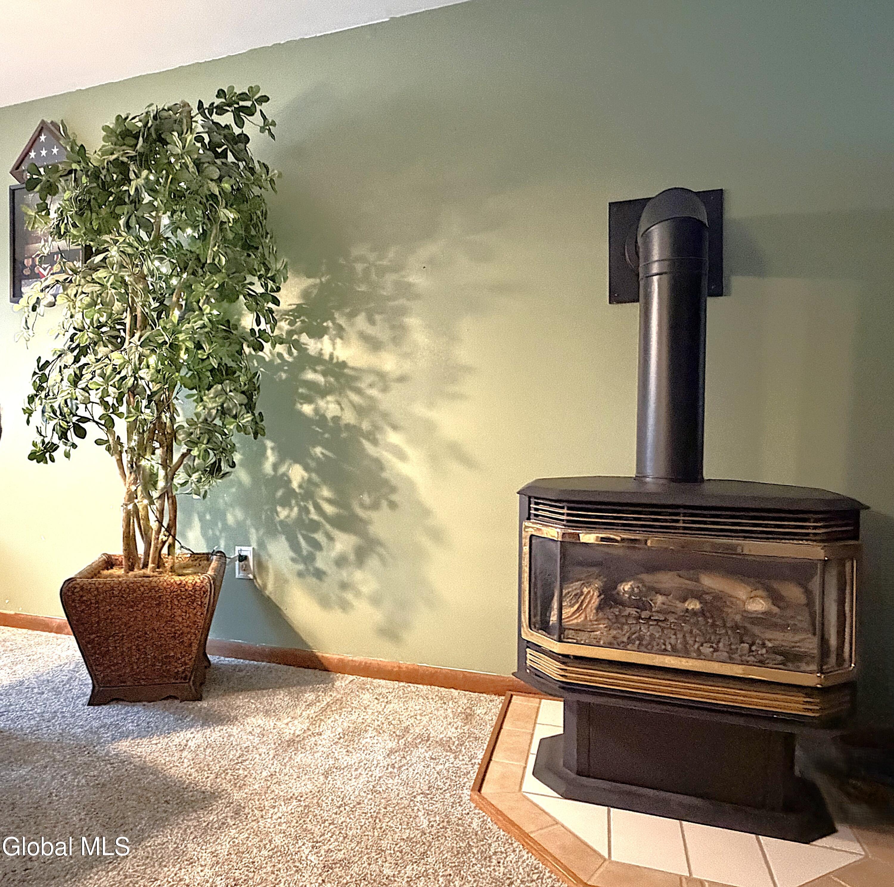 2 Moonglow Road Wilton, NY 12831 - Photo 4 of 29 Gas Fireplace