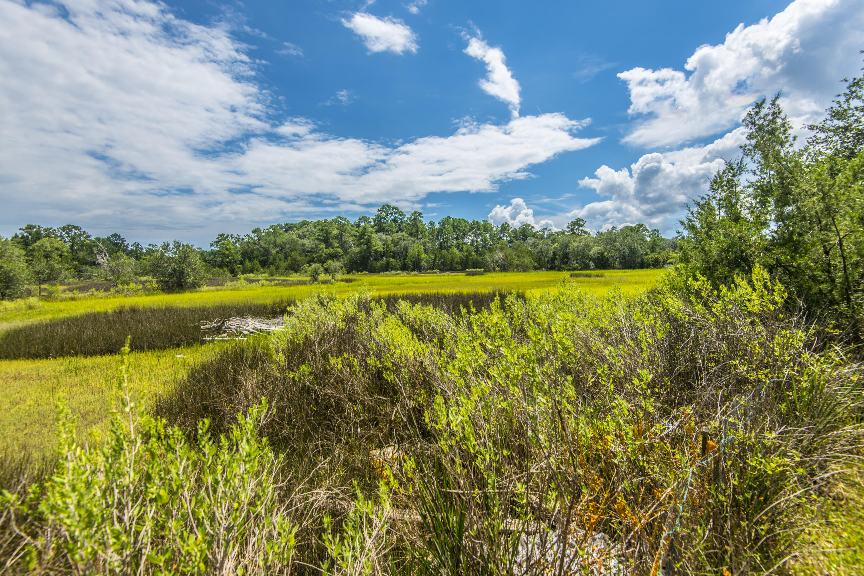 4754 Wilson Road Meggett, SC 29449 - Photo 11 of 30 _DSC9393