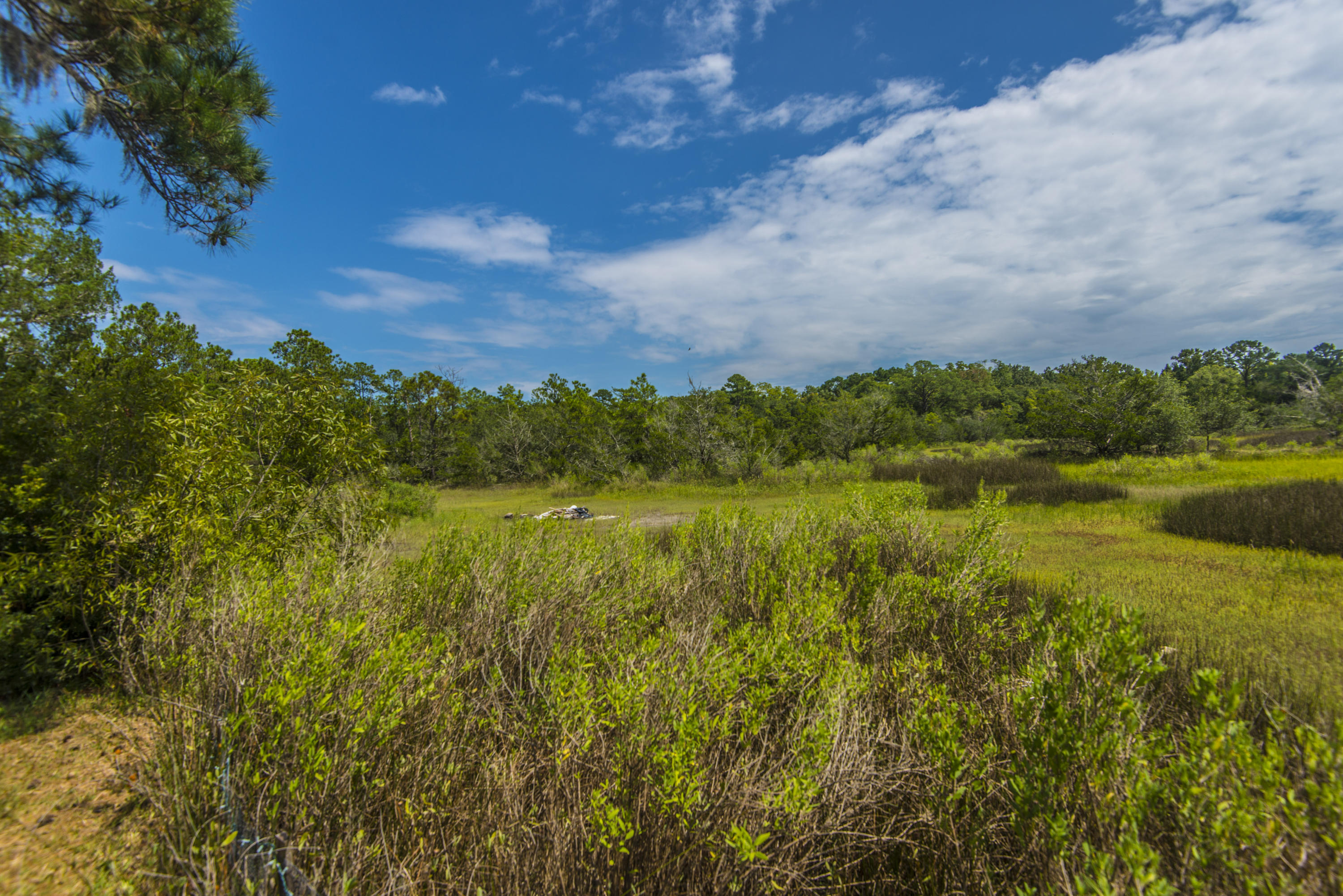 4754 Wilson Road Meggett, SC 29449 - Photo 10 of 30 _DSC9391