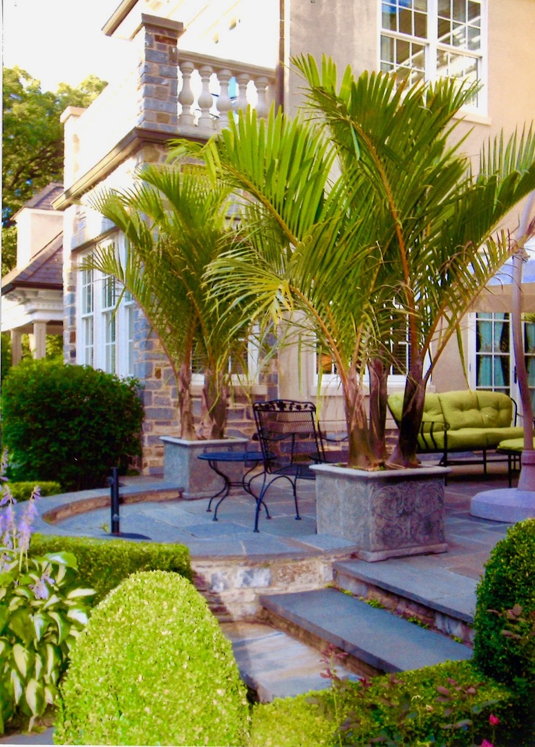 820 Taft Road Hinsdale, IL 60521 - Photo 45 of 46 a view of a backyard with plants and a patio