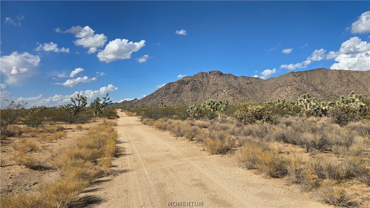 208-27-196d South Kinard Road Yucca, AZ 86438 - Photo 28 of 29 Gallery Image 28
