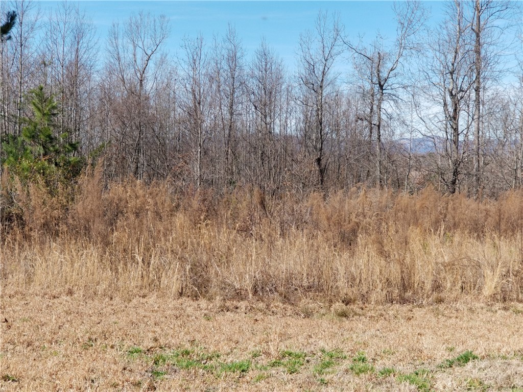 931 Old Dacusville Road Easley, SC 29640 - Photo 1 of 3
