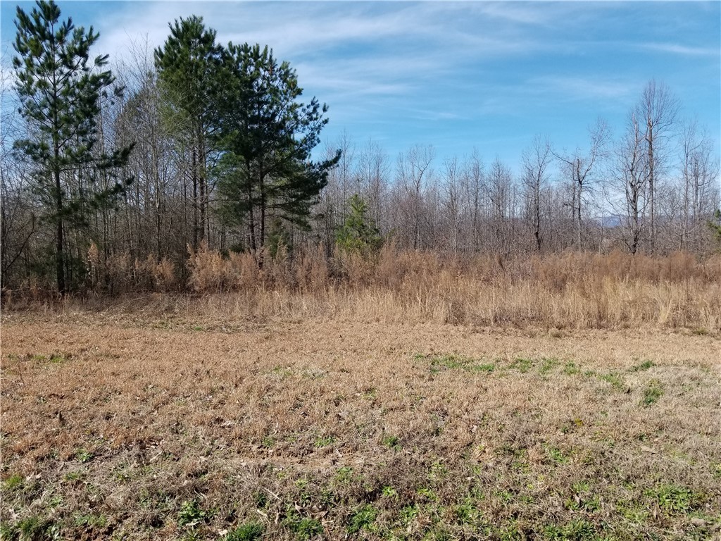 931 Old Dacusville Road Easley, SC 29640 - Photo 2 of 3