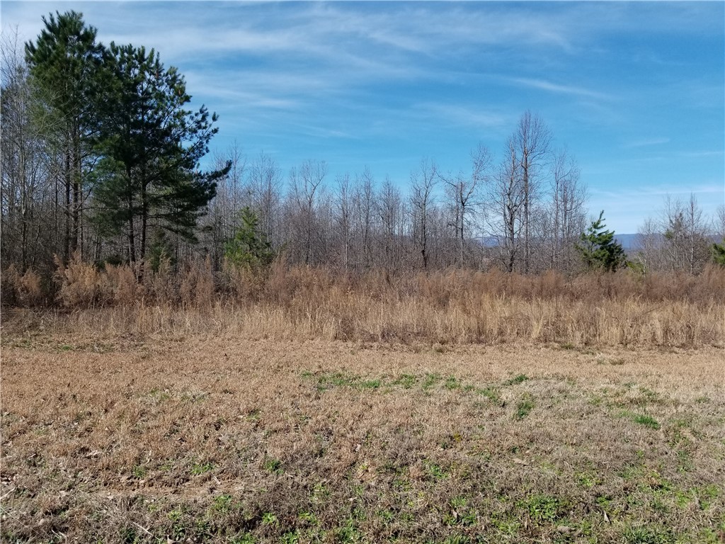 931 Old Dacusville Road Easley, SC 29640 - Photo 3 of 3