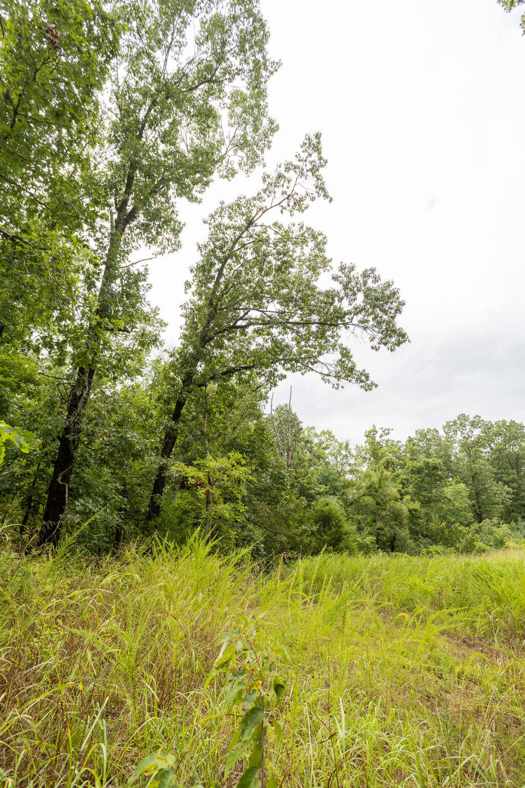 0 Cowan Ridge Road Powell, MO 65730 - Photo 9 of 13 McDonald167(MLSRES)-12